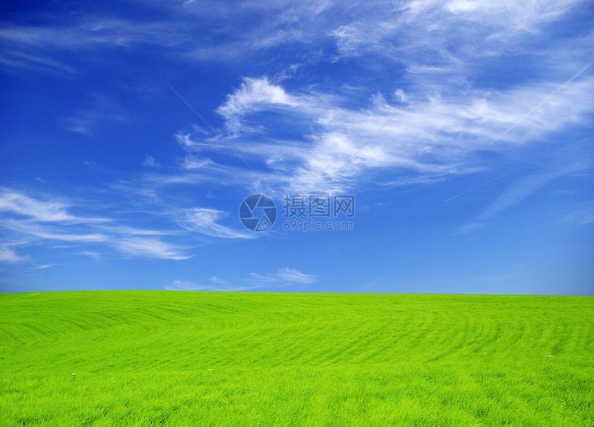 字段农场风景植物草地农业地平线天空全景远景场地图片