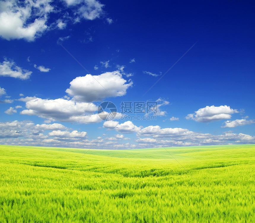 字段植物阳光天气绿色农业远景农场风景全景场地图片