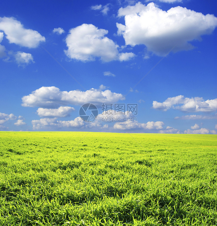 字段地平线乡村全景绿色场地牧场风景农业农场阳光图片