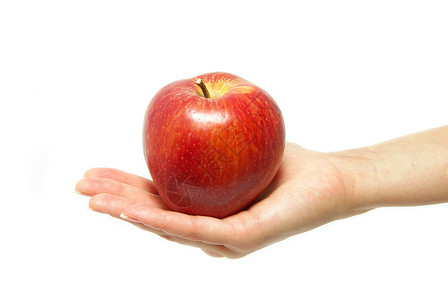 手与苹果营养饮食白色食物水果小吃绿色种子圆圈背景图片