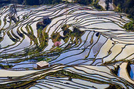 哈尼语哈尼赖斯台植物农场农民稻田收成反射场地梯田旅行背景