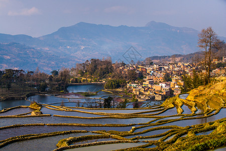 哈尼语哈尼赖斯台场地农民农场反射旅行植物收成稻田梯田背景