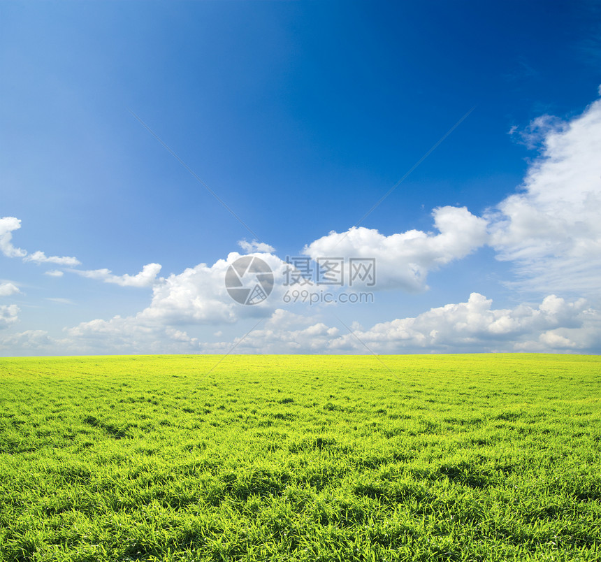 字段地平线草地植物乡村牧场场地全景天气风景农业图片