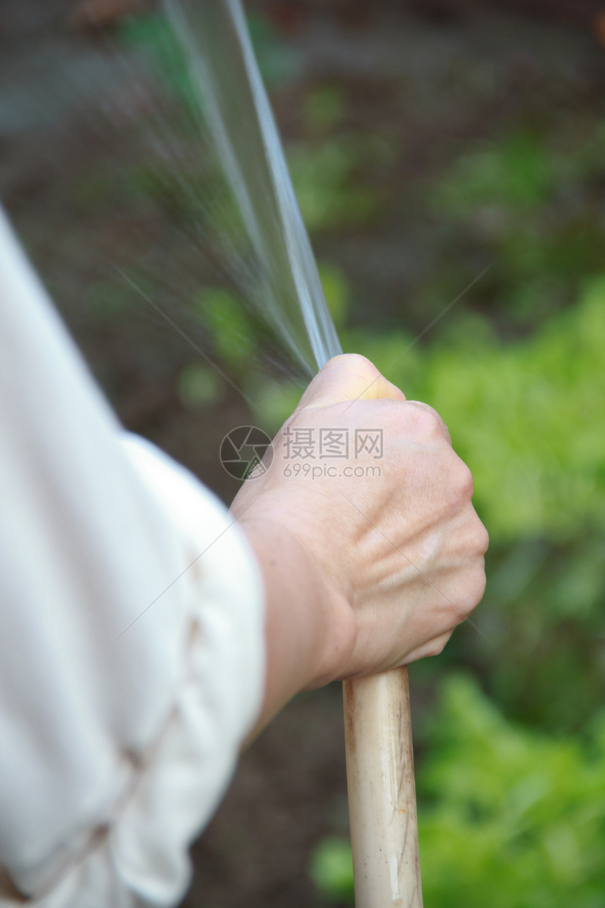 年轻有吸引力的女士给植物浇水花园工具苗圃工人工作园丁员工女性温室园艺图片