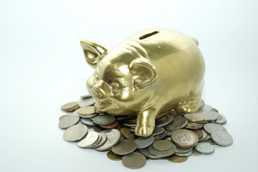 养猪银行陶瓷财政裂缝制品商业支出硬币订金利润玩具图片