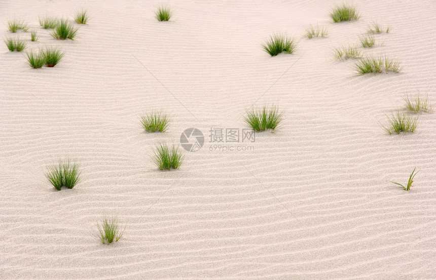沙子上的小玻璃杯海浪团体绿色棕色沙漠沙丘波纹图片