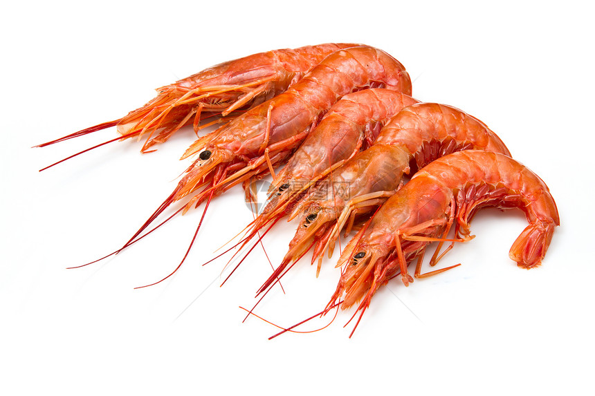 白上分离的虾红色老虎美食海鲜小吃白色食物国王餐厅宏观图片
