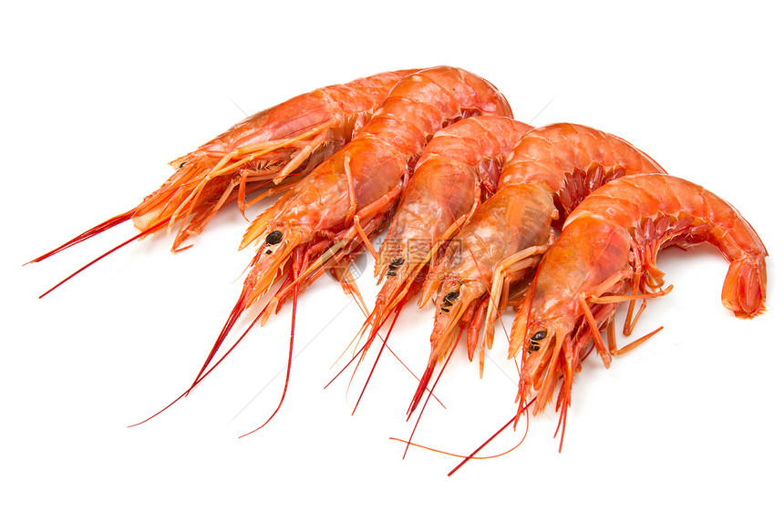 白上分离的虾饮食海鲜老虎宏观美食红色餐厅橙子食物国王图片