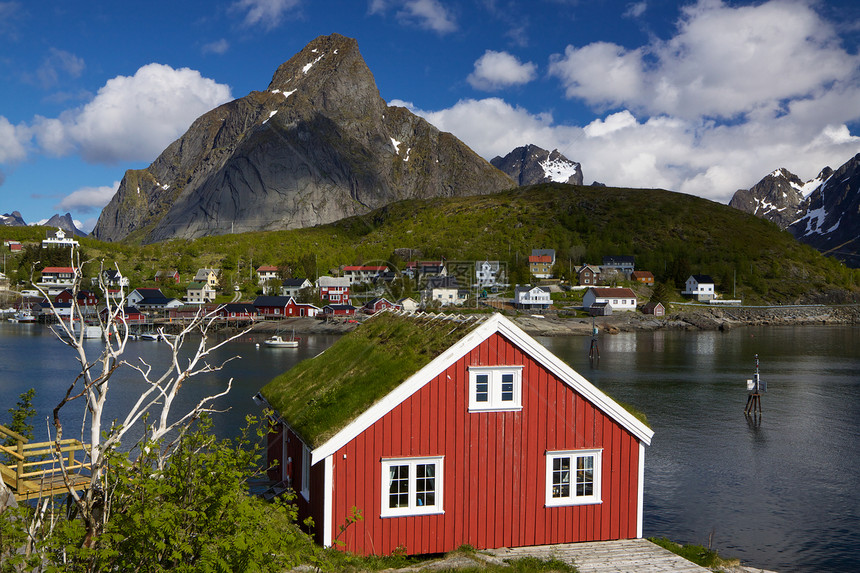 在 Lofoten 上的 Robuer图片