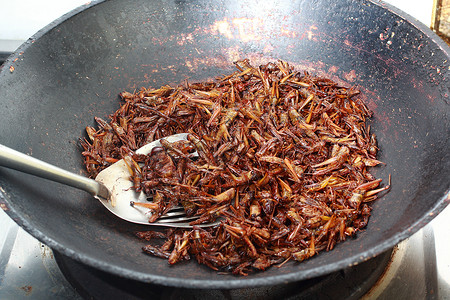 油炸毛虫幼虫昆虫美食食物平底锅茶点厨房小吃背景图片