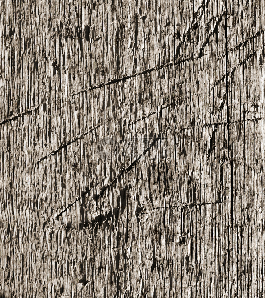 木质质木头木材日志历史戒指材料条纹树干年度森林图片