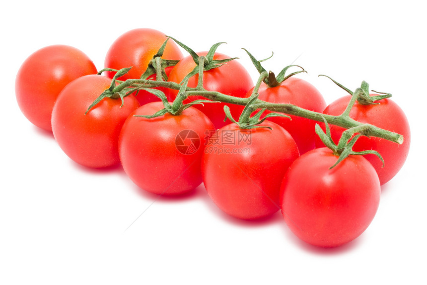 番茄饮食红色沙拉宏观圆形白色营养烹饪绿色食物图片