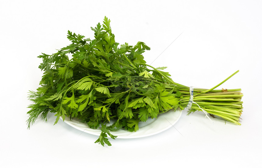 Platw的在白色背景上被隔离拼贴画食物叶子植物百里香饮食床单草本植物香菜香料图片