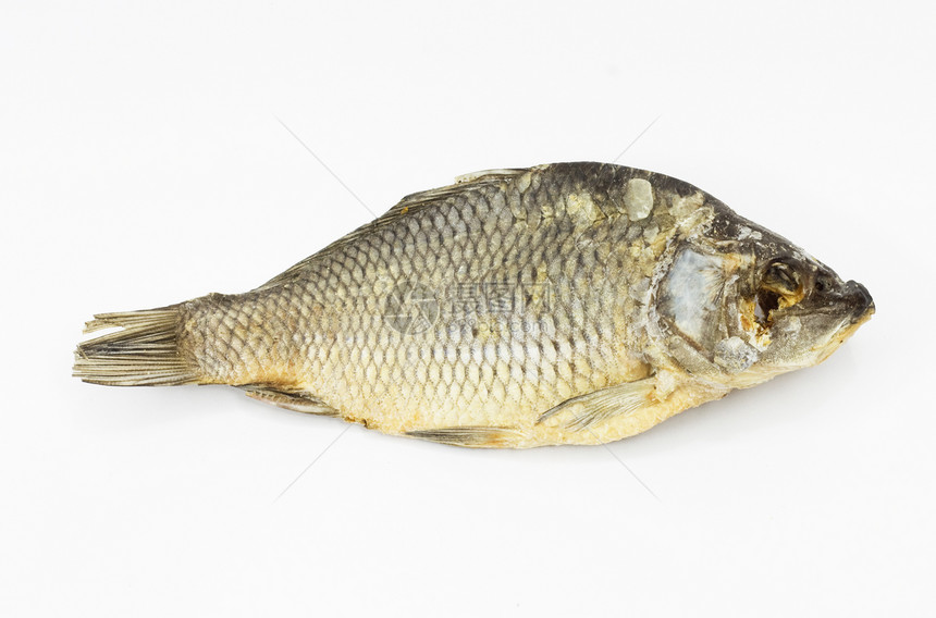 白底白底孤立的干鱼鳕鱼午餐食物小吃钓鱼条子派对蟑螂白色营养图片
