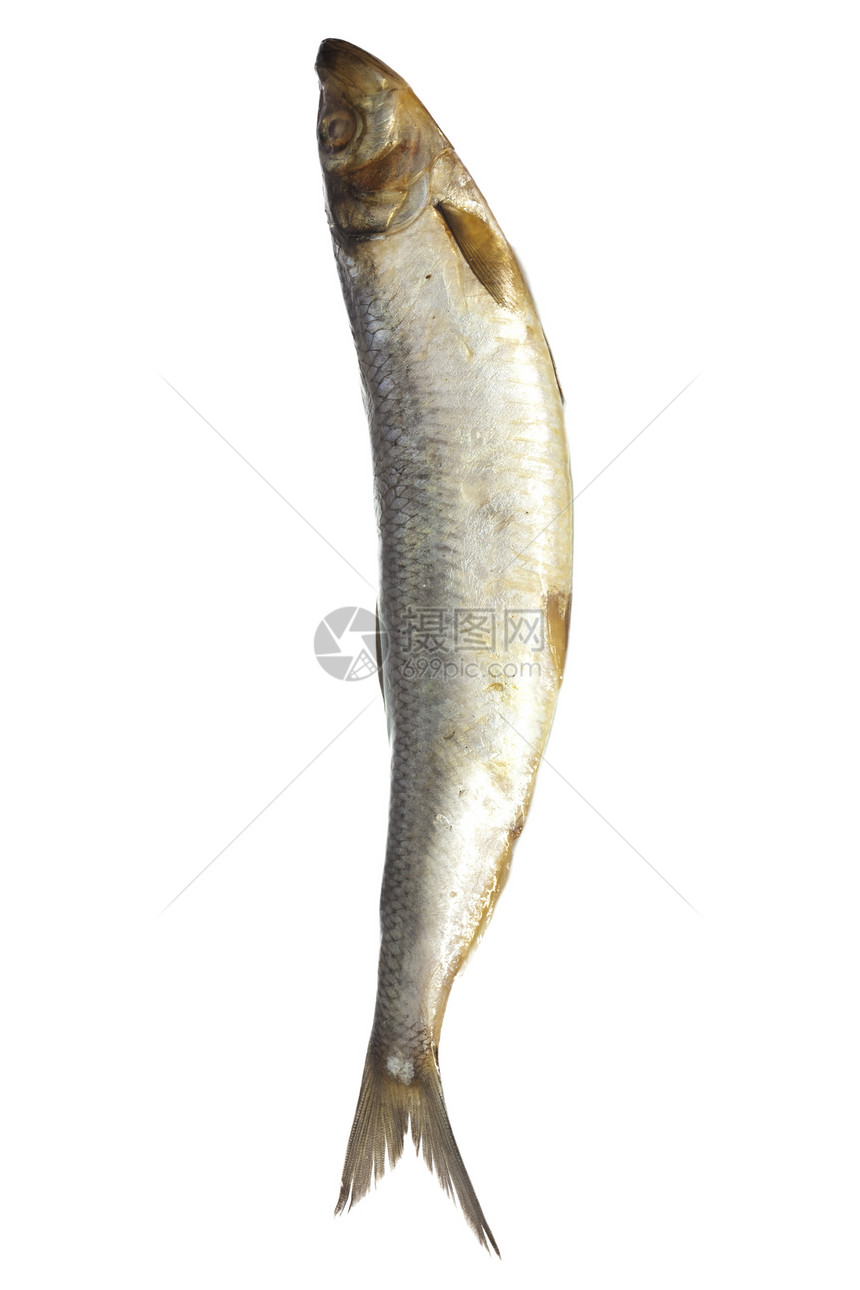 白底的咸鱼钓鱼尾巴妻子鲱鱼盐渍白色食物海鲜皮肤图片