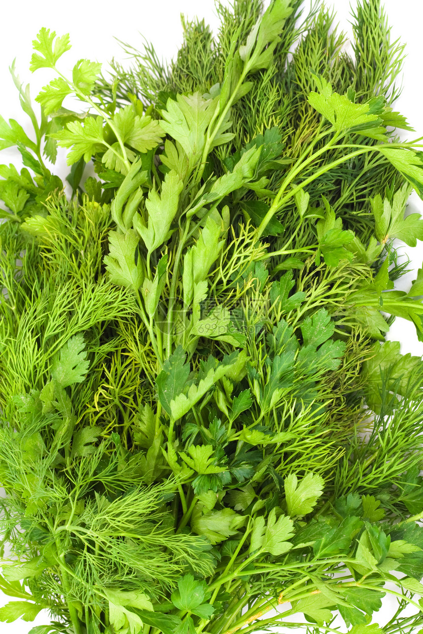 dill 和 arsley香料叶子花园床单拼贴画植物香菜饮食食物园艺图片