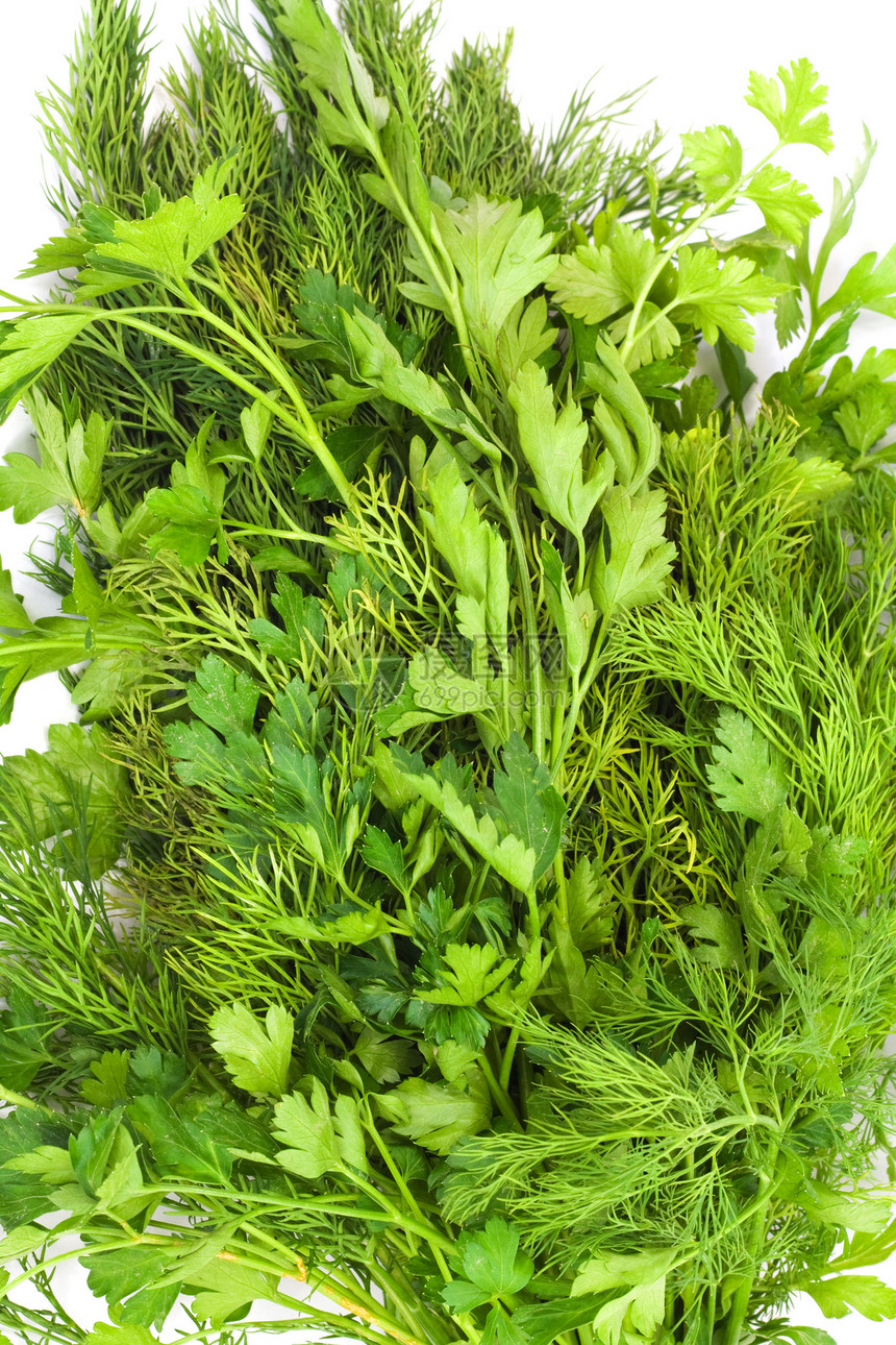 dill 和 arsley蔬菜枝条园艺花园百里香分册香料拼贴画叶子食物图片