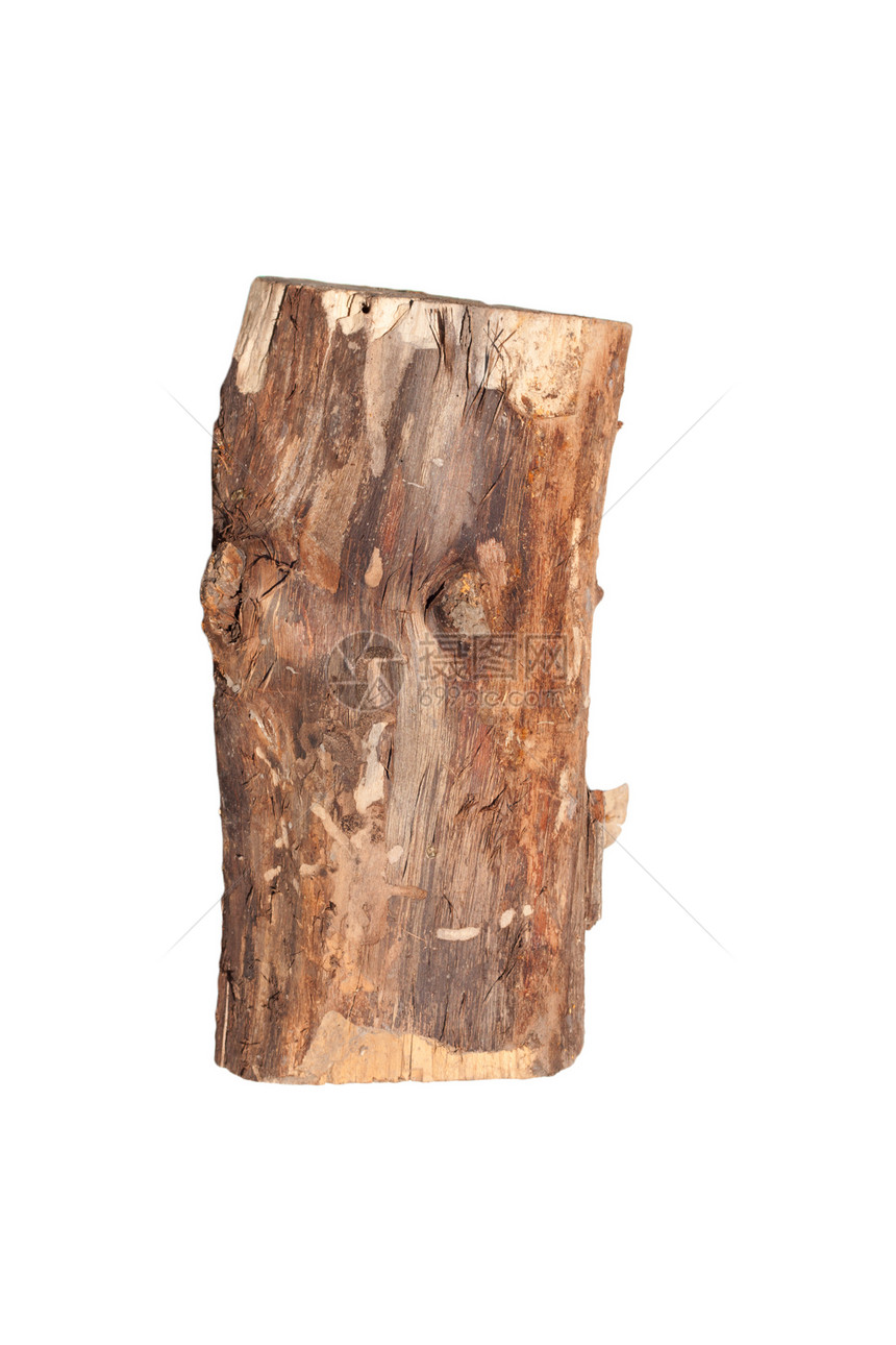Birch原木在白色背景上被隔离树干建造材料硬木植物木工人日志木头框架同心图片