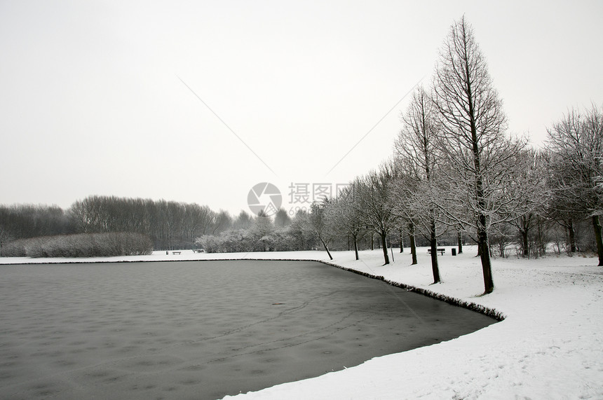 下雪时的森林冻结寒冷白色雪景磨砂冬景季节性季节图片