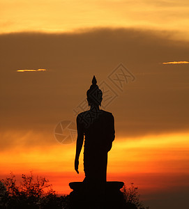 Buddha 雕像的光环佛教徒地标文化公园宗教遗迹太阳日落天空寺庙背景图片