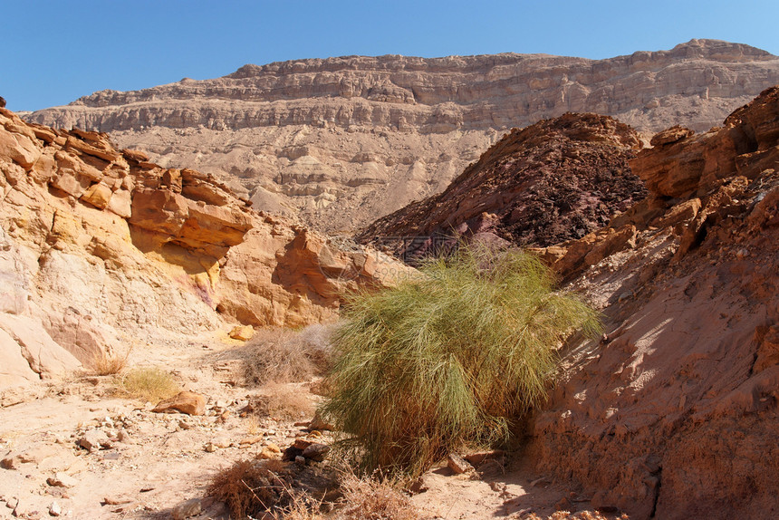 以色列内盖夫沙漠中小克拉泽的景色沙漠景观丘陵天空沙丘岩石旅行橙子风景悬崖爬坡蓝色图片