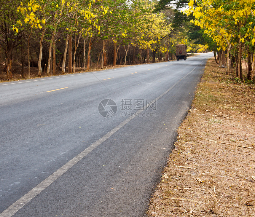 农村地区的道路风景绿色叶子缠绕曲线季节旅行国家森林树木图片