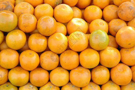 橙色水果食物团体橙子背景图片