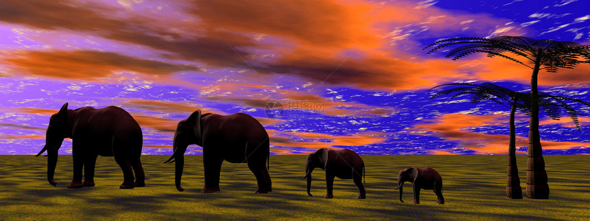 大象地标荒野镜子旅行海浪插图野生动物阳光旅游环境图片