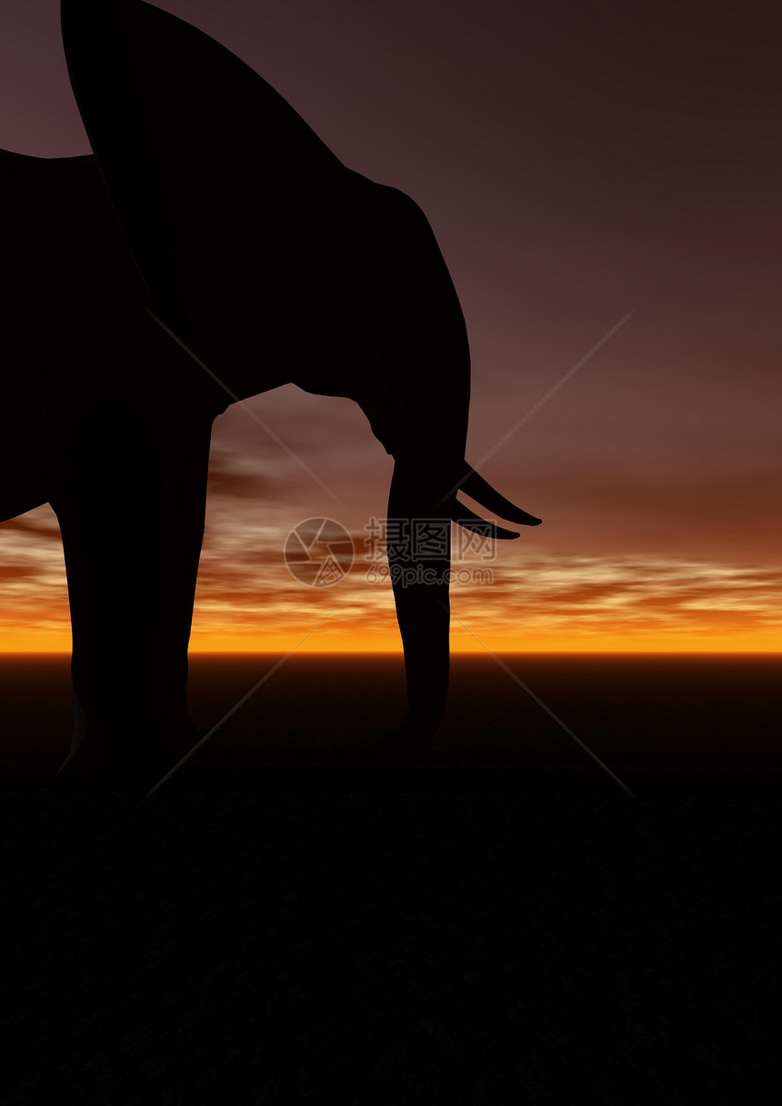 大象日落太阳旅游哺乳动物概念性天空公园红色风景野生动物图片