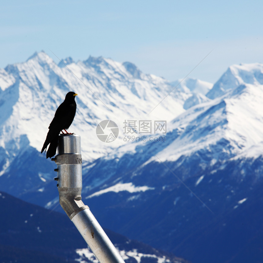 群山鸟太阳滑雪场景蓝色运动顶峰旅行冻结天空高山图片