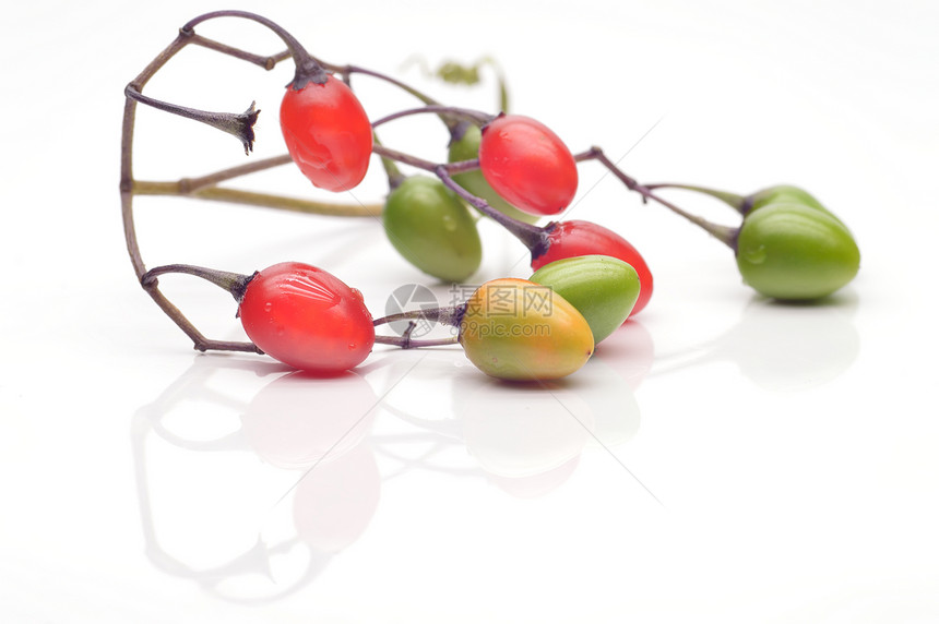 彩色白莓睡影植物食物活力白色茶点水果图片
