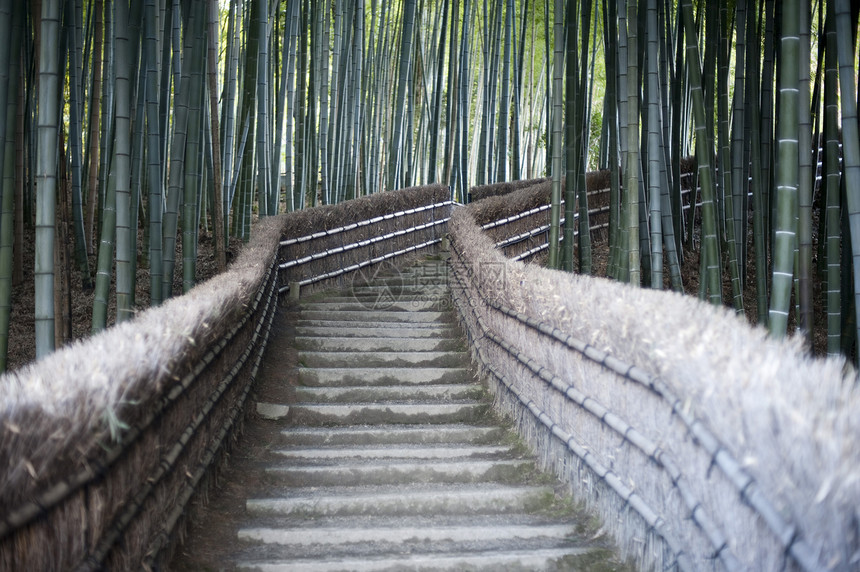 竹布走道图片