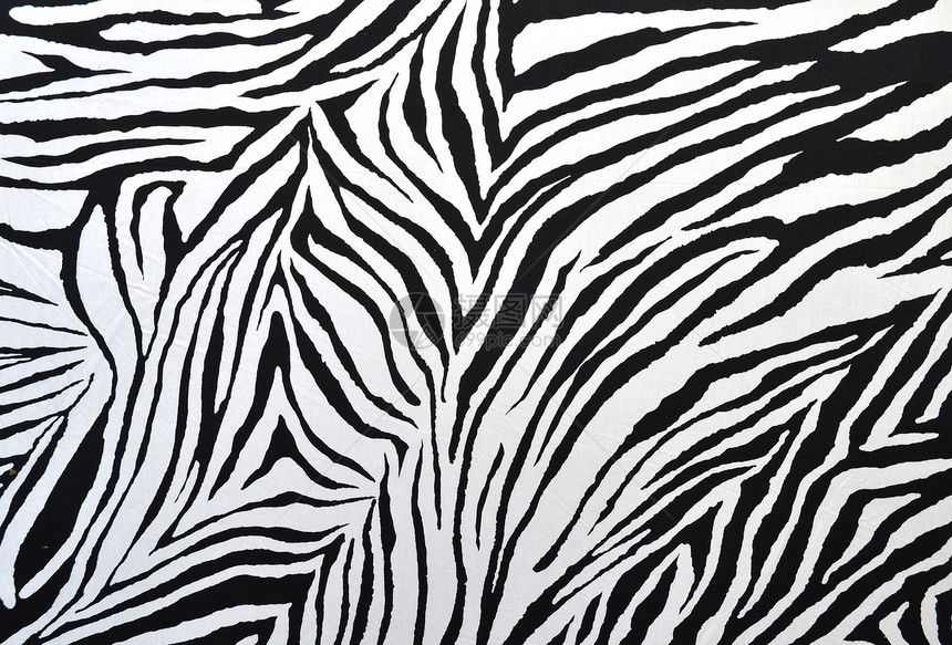 斑马风格布料毛皮纺织品墙纸绘画动物衣服皮肤哺乳动物织物白色图片
