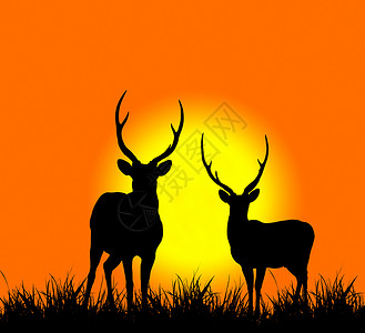 鹿影鹿的脚影橙子插图绘画荒野哺乳动物太阳晴天脊椎动物阳光野生动物背景