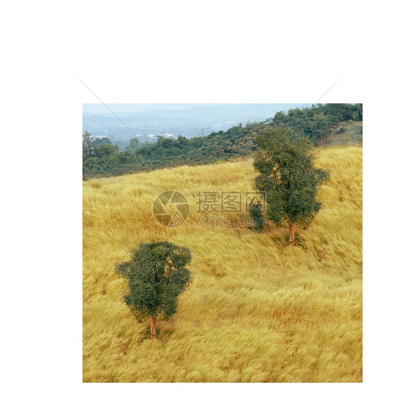 干草农村场地公园风景橙子季节树木旅行荒野爬坡图片