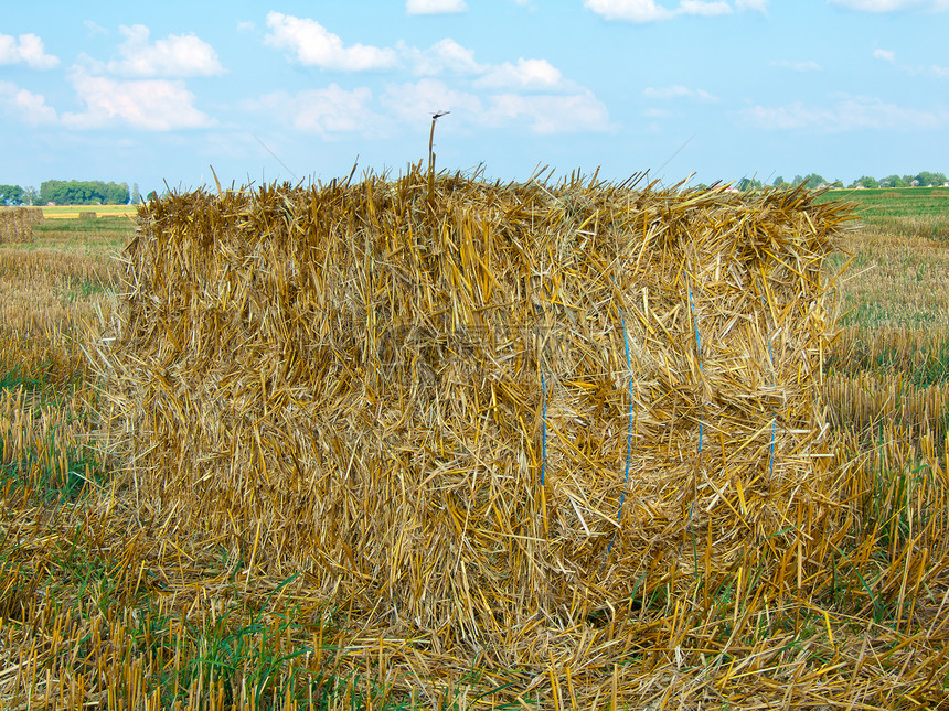 草堆农场天空稻草太阳收获收成农业生长场地土地图片