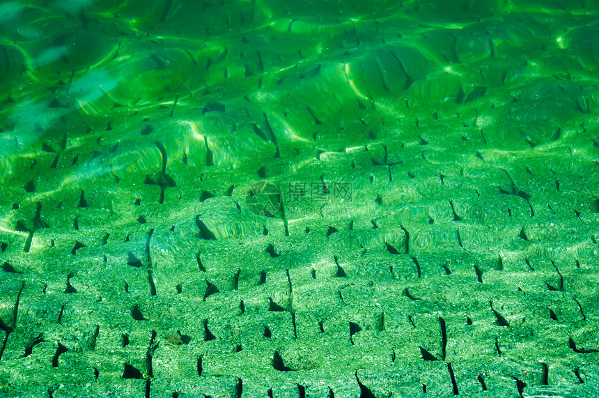 水泥地上的绿色水流图片