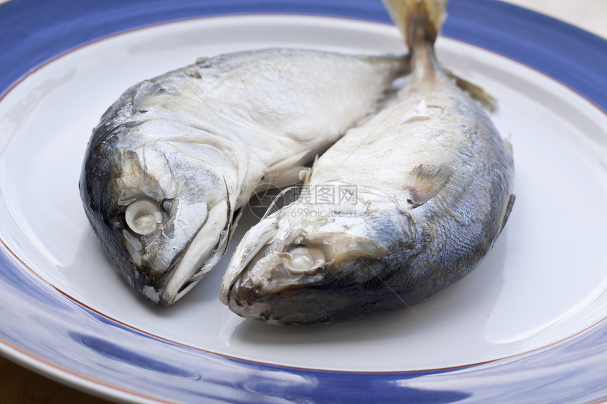 马克雷尾巴居住钓鱼海鲜生物海洋身体皮肤鲭鱼食物图片