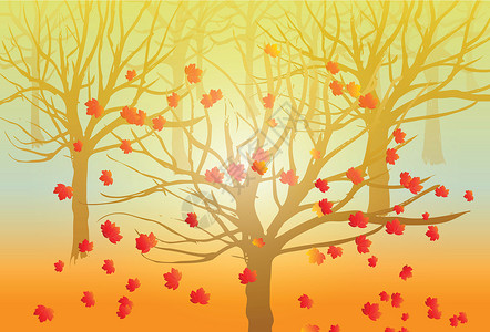 秋树背景绘画环境装饰风格草图季节边界插图铅笔画橙子背景图片