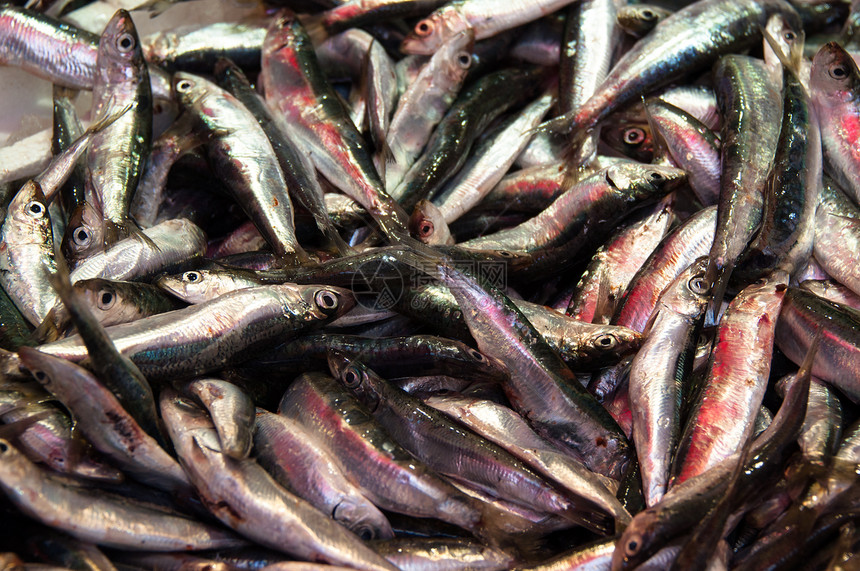 供出售的沙丁鱼市场饮食美食海洋钓鱼海鲜卤水盘子美味鳀鱼图片