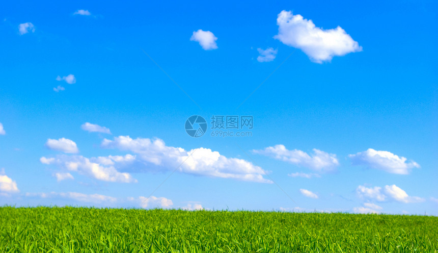 字段和天空美丽季节远景天气植物牧场农场地平线阳光农村图片