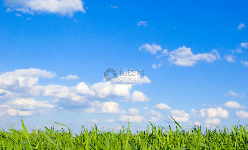 天空天气风景农业牧场国家阳光农村远景植物场地图片