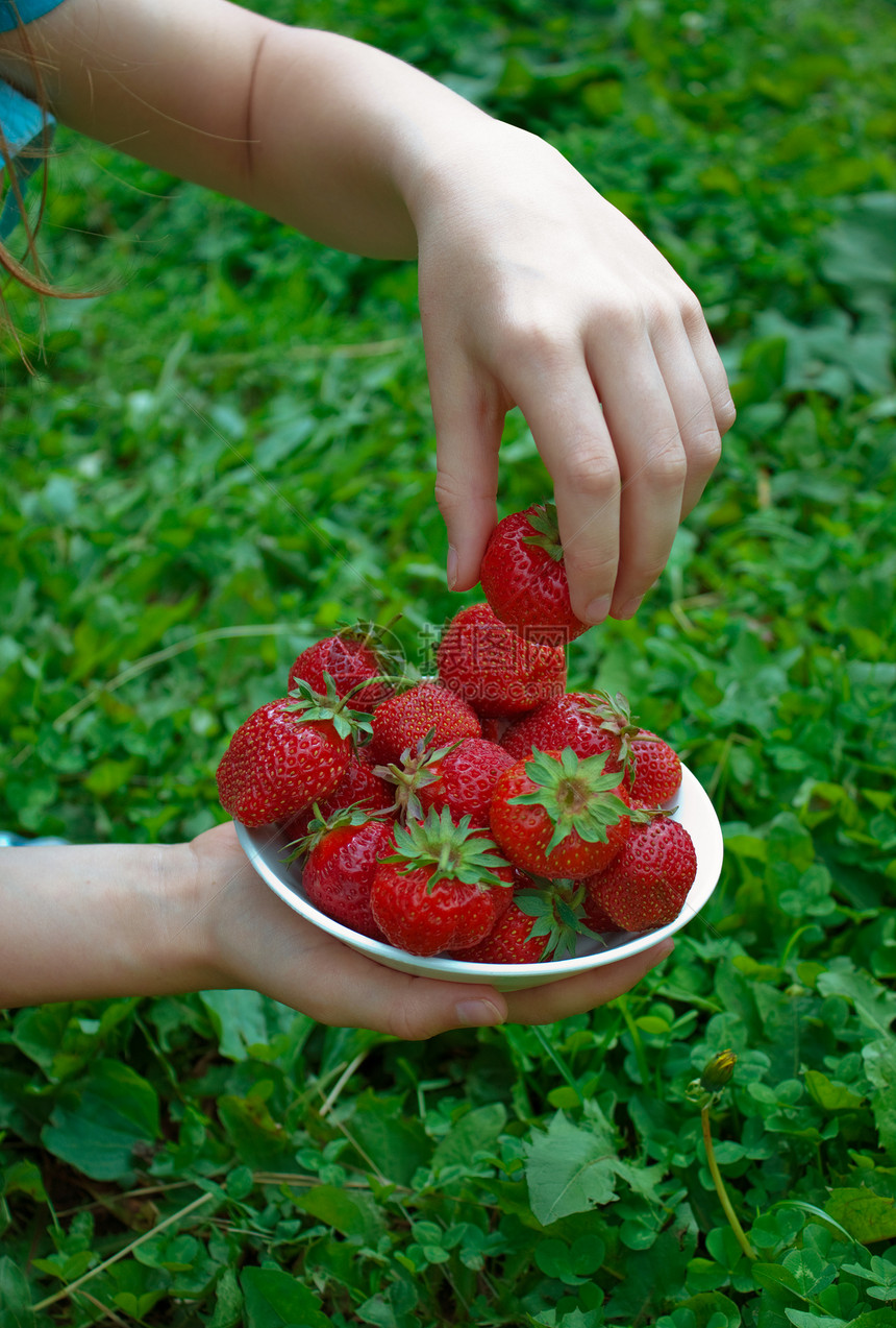 女孩用成熟的草莓填满盘子图片