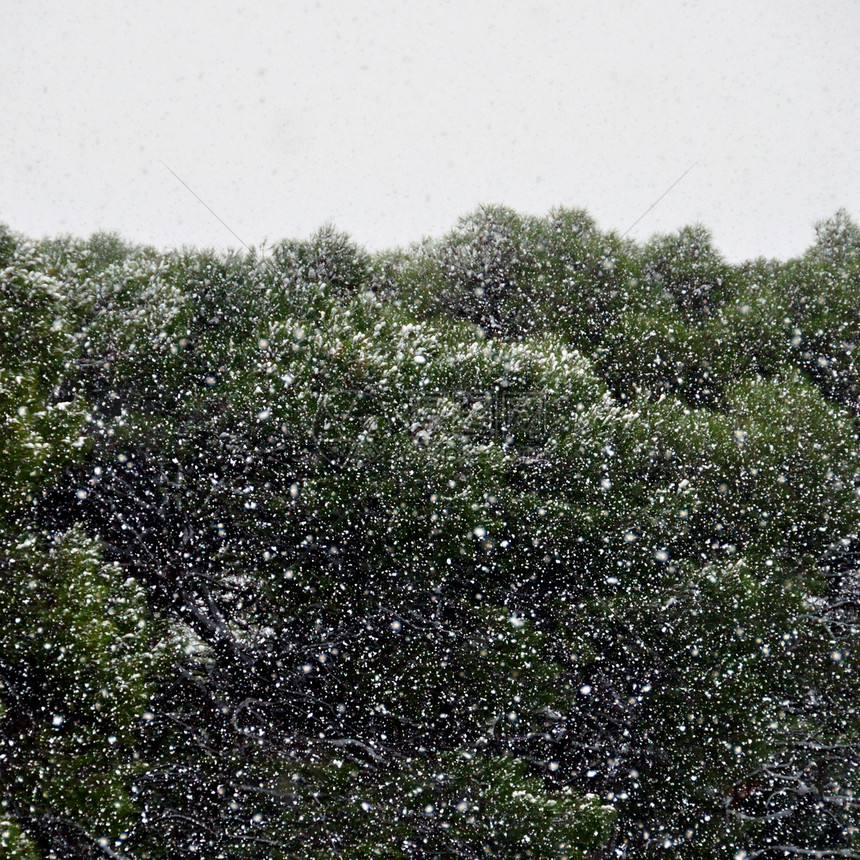 密集的暴雪图片