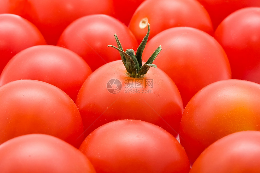番茄生产红色烹饪植物饮食营养市场食物叶子水果图片