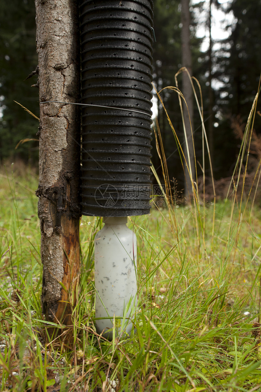 保护森林免受树害昆虫除害虫害虫管理森林区陷阱植物斗争瓶子控制图片