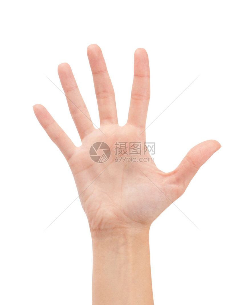 露露女性手或五号手臂表决白色数数男人身体帮助投票问候语商业图片