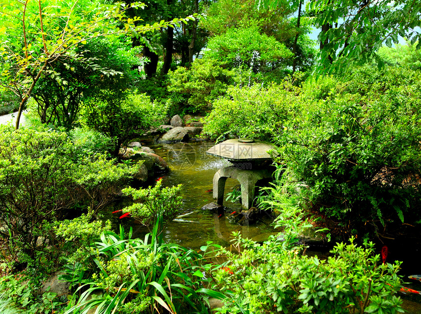 中华传统花园树干文化树叶爱好分支机构植物学建筑环境禅意生长图片