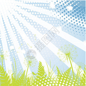 德普雷夏抽象夏夏夏背景季节太阳生长植物场地生态植物群环境叶子草地插画