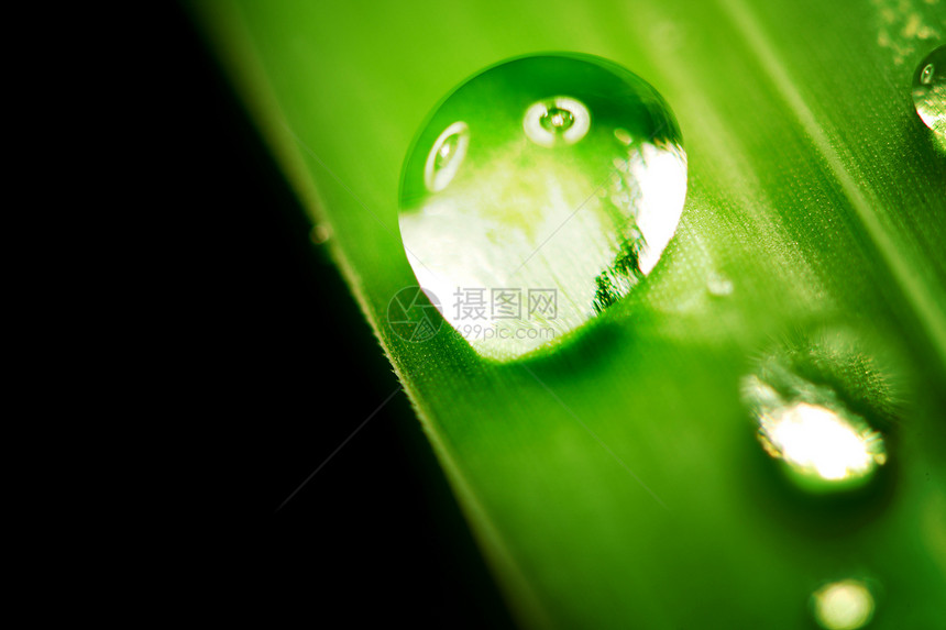 草地上滴水背景水滴雨滴刀刃宏观反射生长植物草本植物生活图片